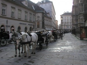 Fiakers waiting at Stephansplatz